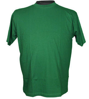 Basic T-Shirt Honeymoon Grün